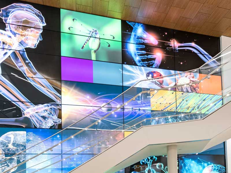 lobby mural along the staircase at the college of humanities and sciences stem building at v.c.u. depicting various stem disciplines