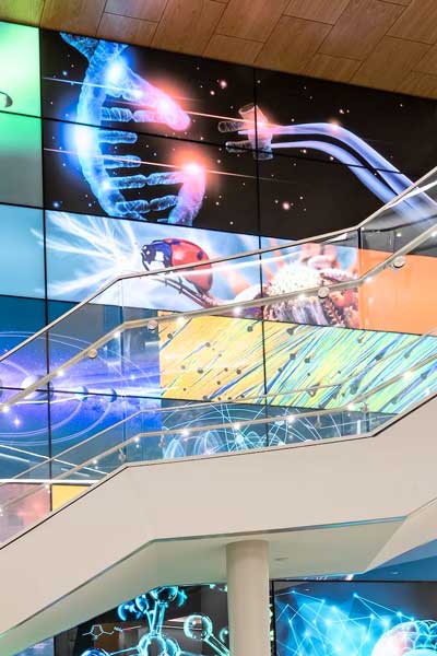 lobby mural along the staircase at the college of humanities and sciences stem building at v.c.u. depicting various stem disciplines